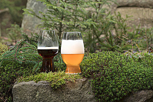 玻璃杯,黑啤酒,小麦啤酒,树林