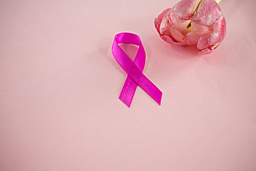特写,乳腺癌,意识,带,郁金香,粉色背景