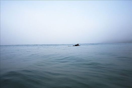 男人,躺着,冲浪板,水