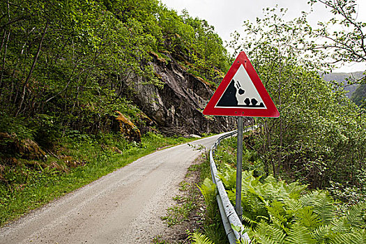 落下,石头,警告标识,狭窄,山路,山谷,挪威,欧洲