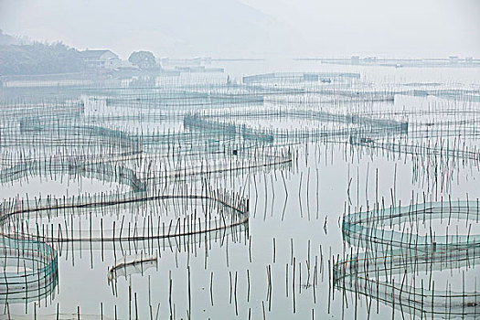 福建,霞浦,滩涂,海洋,养殖,渔民,网箱,围网,水上人家,房子,居住,生活,渔船,交通,图形,几何,优美,线条