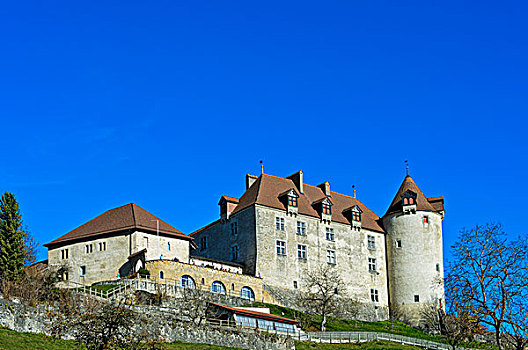 城堡,广东,弗里堡,瑞士,欧洲