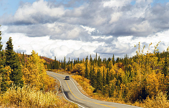 卡车,旅行,道路,阿拉斯加,荒野,秋色,两个,公路