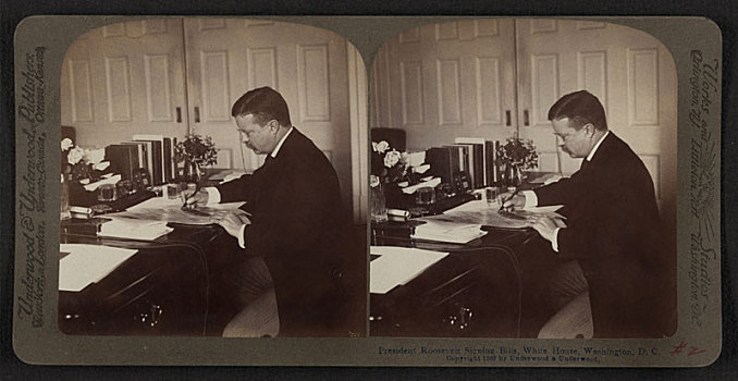 总统,西奥多-罗斯福,签写,白宫,华盛顿特区,美国,卡