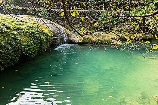 自燃山水