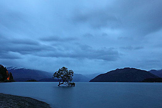 湖上晨曦与一棵树