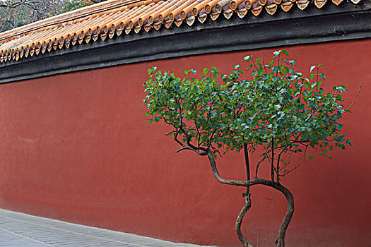 北京古城墙