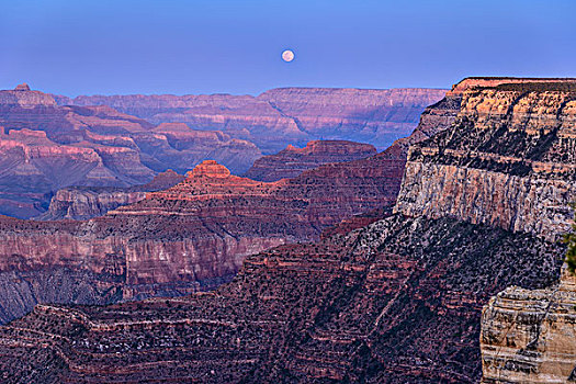 美国,亚利桑那,大峡谷国家公园,南缘,傍晚,月出