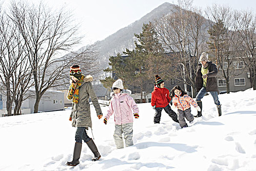 家庭,走,雪原