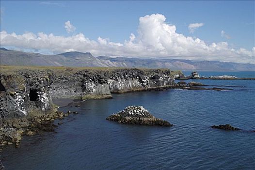 玄武岩,海岸,半岛,冰岛