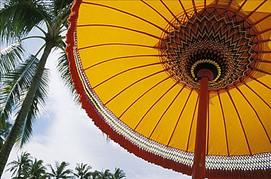 印度尼西亚,巴厘岛,酒店,仰视,黄色,遮阳伞
