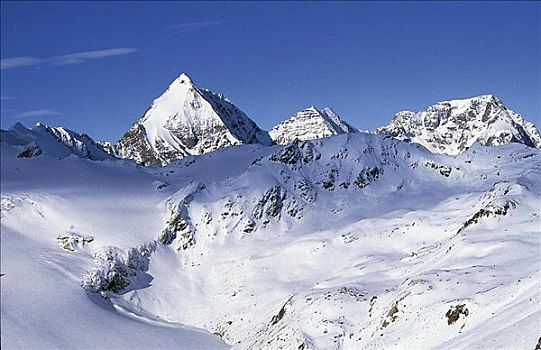 山,雪,顶峰,南蒂罗尔,意大利,欧洲,阿尔卑斯山