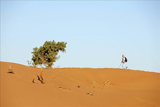 柏柏尔人,远足,沙丘,靠近,摩洛哥