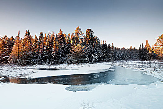 冬天,科斯河地区,阿尔冈金省立公园,安大略省,加拿大