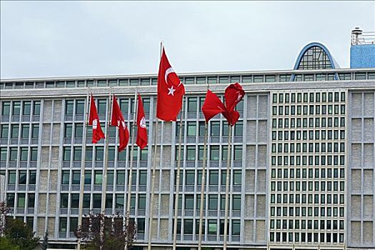 土耳其,旗帜,正面,建筑,伊斯坦布尔