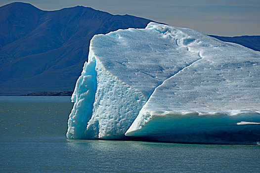 冰河,特写,湖,巴塔哥尼亚,阿根廷,南美