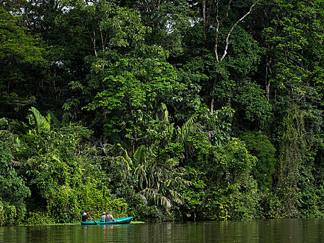 国家公园,雨林,船,哥斯达黎加,中美洲