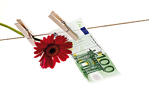 花,100欧元,钞票,晾衣服,象征,假的,钱,伪造