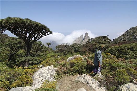 也门,索科特拉岛,男人,走,小路,山,植被