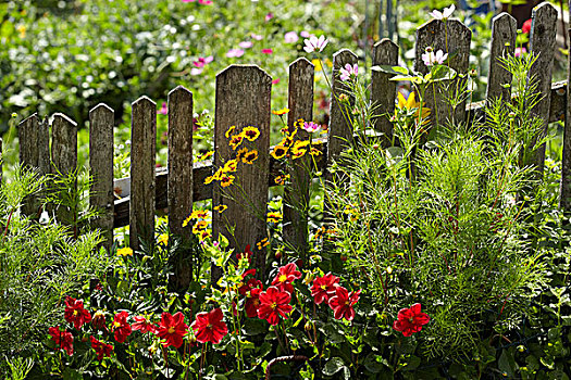 花园栅栏,卡林西亚,奥地利,欧洲