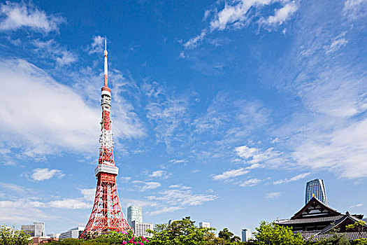 东京塔,公园,高层建筑,背景,东京港区,东京,日本