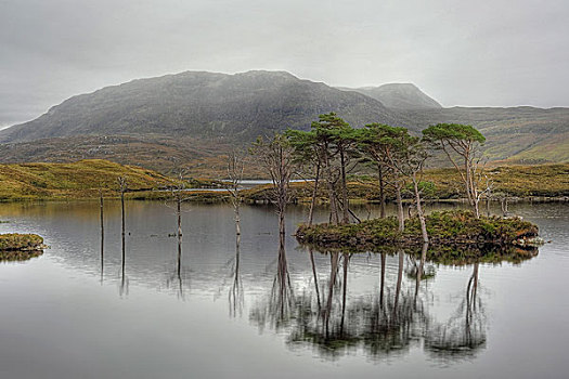 树,湖,苏格兰