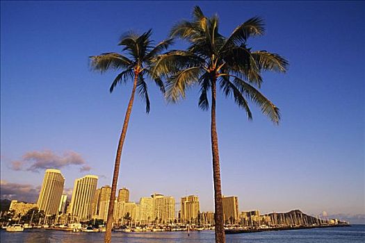 夏威夷,瓦胡岛,檀香山,两个,框架,怀基基海滩,海岸线,温暖,落日余晖,清晰,蓝天