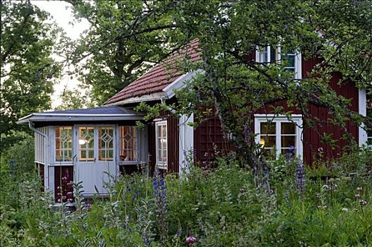 小,夏天,屋舍,史马兰,瑞典