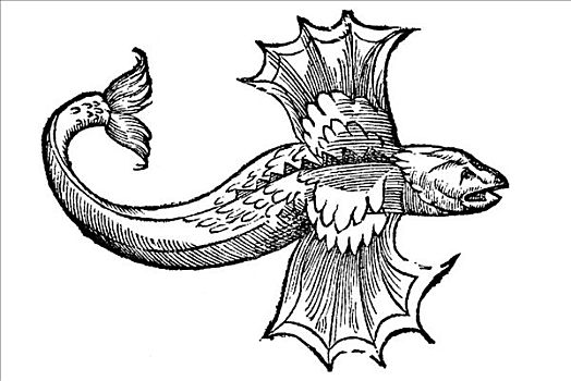 木刻,飞鱼,1642年,文艺复兴