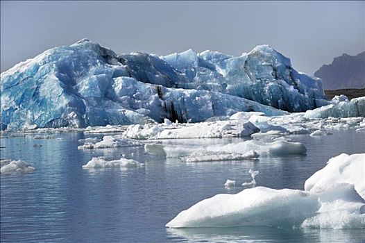 结冰,湖,冰河河道,泻湖,斯卡夫塔菲尔国家公园,漂浮,冰山,南海岸,冰岛,欧洲