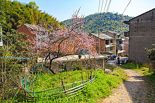 蒋山村,山村