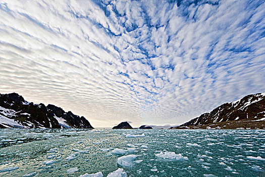 冰,峡湾,冰河,斯瓦尔巴特群岛,斯匹次卑尔根岛,挪威
