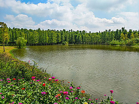 青西郊野公园