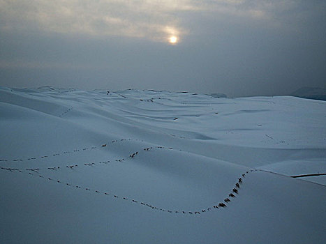 沙漠雪景