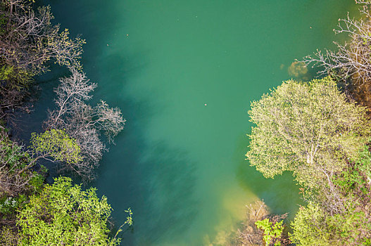 航拍视角下碧绿的湖水和湖边的树木