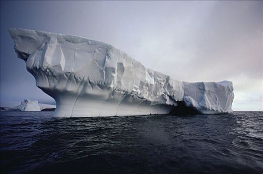 冰山,半岛,南极