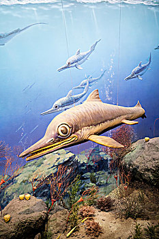 大眼鱼龙,侏罗纪晚期,中等体型的肉食性动物,鱼龙
