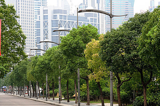 上海浦东陆家嘴金融区的绿化街道