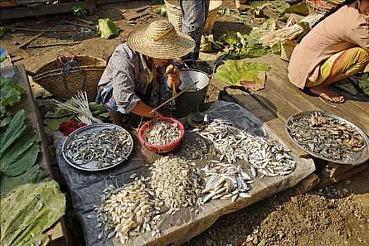 传统,鱼市,克钦邦,缅甸,亚洲