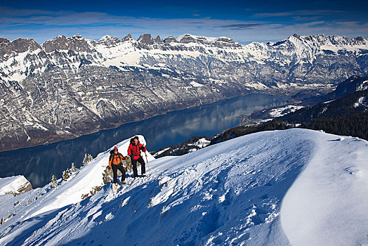 两个,登山,滑雪,旅游,冬天,上升,雪,山脊,后面,湖,阿彭策尔,阿尔卑斯山,格拉鲁斯,瑞士,欧洲