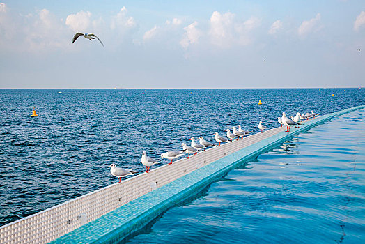 阿联酋迪拜朱美拉海滩阿拉伯塔,帆船,酒店海滩游泳池