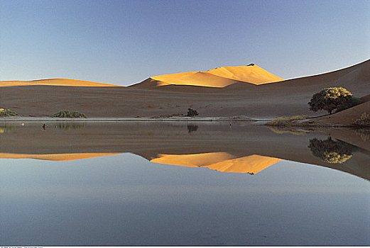 沙丘,反射,纳米比亚
