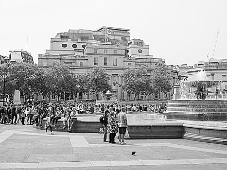 黑白,特拉法尔加广场,伦敦