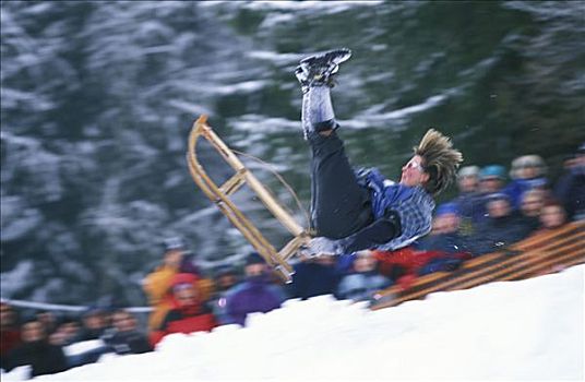 雪橇,比赛,上巴伐利亚,德国