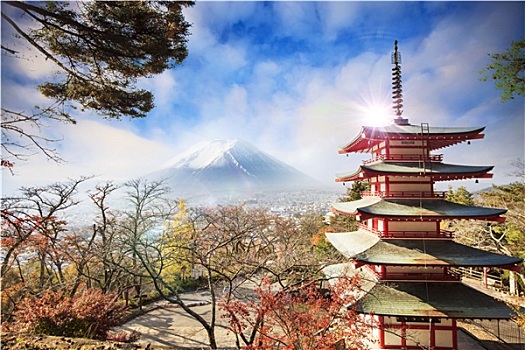 山,富士山,秋色,日本