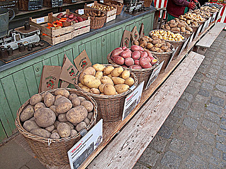 不同,品种,土豆,篮子,市场