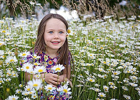 小女孩,三个,岁月,坐,花,草地,许多,雏菊,罗森海姆,巴伐利亚,德国,欧洲
