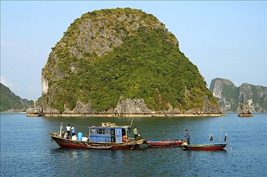 捕鱼,下龙湾,越南