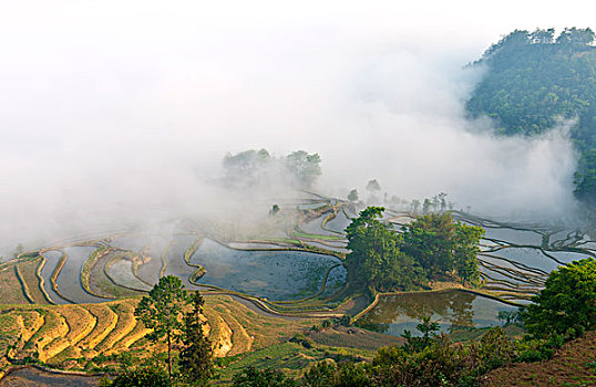 云南省红河州元阳哈尼梯田