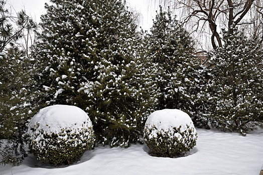 河北省石家庄市公园雪景